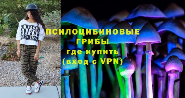 apvp Беломорск